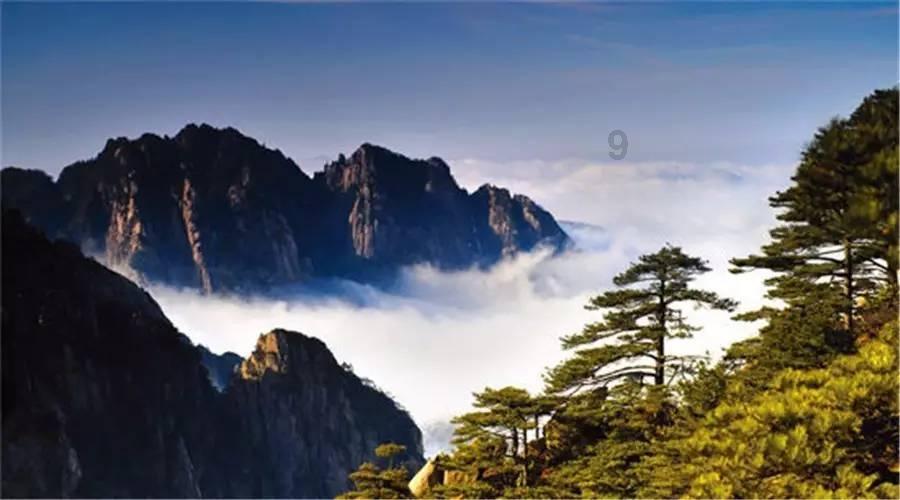 西红柿定植后几天打锌肥好？