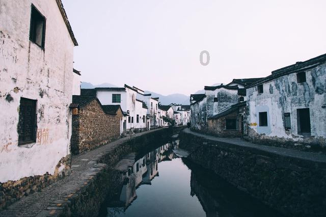 翻转吧，苹果虫
